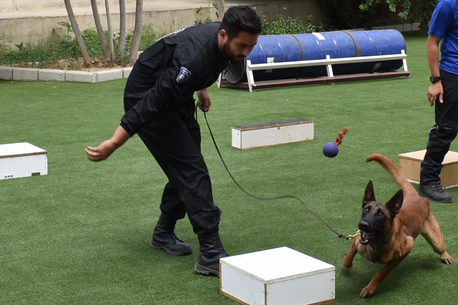 The drug detecting dog and its handler will be matched together at the final stages of training before dispatching for actual missions