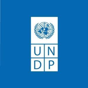 UNDP LOGO