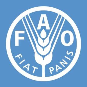 FAO LOGO